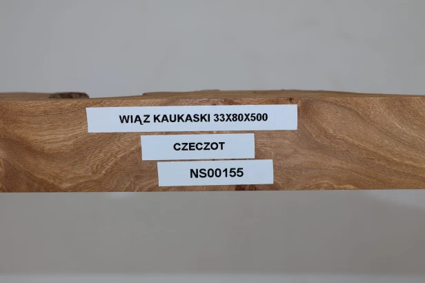 Wiąz Kaukaski Caucasian Elm czeczot burl