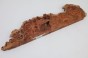 Wiąz Kaukaski Caucasian Elm czeczot burl