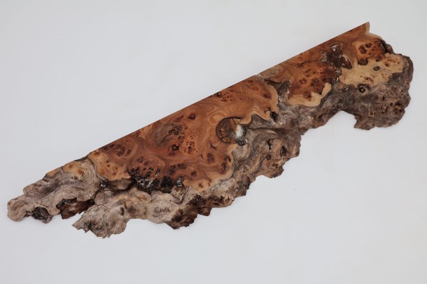 Wiąz Kaukaski Caucasian Elm czeczot burl