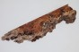 Wiąz Kaukaski Caucasian Elm czeczot burl