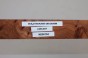 Wiąz Kaukaski Caucasian Elm czeczot burl