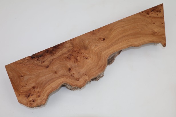 Wiąz Kaukaski Caucasian Elm czeczot burl