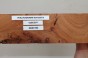 Wiąz Kaukaski Caucasian Elm czeczot burl