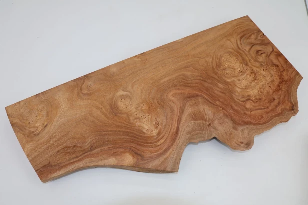 Wiąz Kaukaski Caucasian Elm czeczot burl
