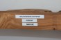 Wiąz Kaukaski Caucasian Elm czeczot burl