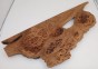Wiąz Kaukaski Caucasian Elm czeczot burl