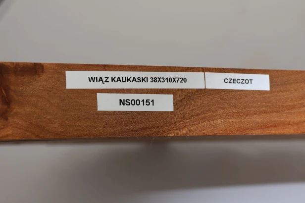 Wiąz Kaukaski Caucasian Elm czeczot burl