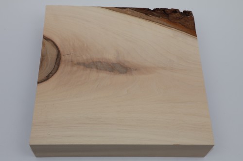 Orzech włoski Walnut drewno do toczenia wood for turning