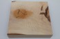 Orzech włoski fala Walnut flame drewno do toczenia wood for turning