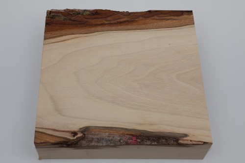 Orzech włoski Walnut drewno do toczenia wood for turning