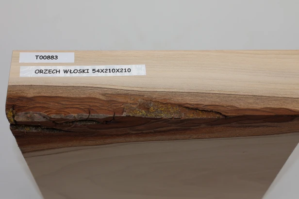 Orzech włoski Walnut drewno do toczenia wood for turning