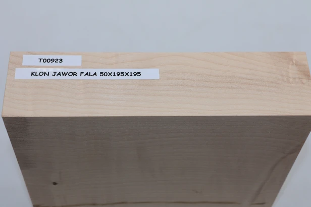 Klon jawor fala Sycamore Maple Flame drewno do toczenia wood for turning