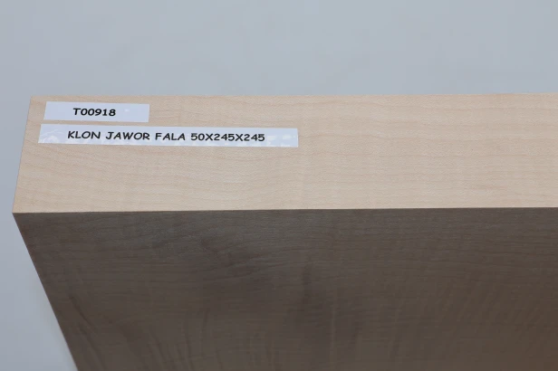 Klon jawor fala Sycamore Maple Flame drewno do toczenia wood for turning