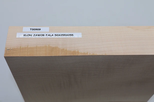 Klon jawor fala Sycamore Maple Flame drewno do toczenia wood for turning