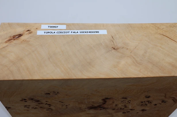 Topola czeczot fala Poplar Wood Burl Flame drewno do toczenia wood for turning