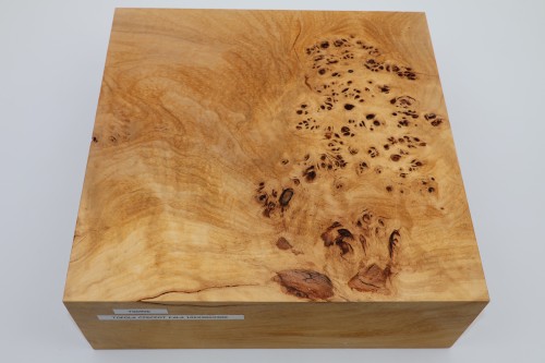 Topola czeczot fala Poplar Wood Burl Flame drewno do toczenia wood for turning