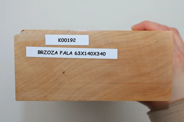 Brzoza fala Birch Flame drewno do toczenia kantówka wood for turning Timber