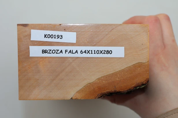 Brzoza fala Birch Flame drewno do toczenia kantówka wood for turning Timber
