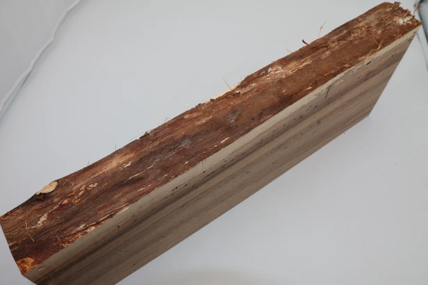 Orzech włoski fala Walnut Flame drewno do toczenia kantówka wood for turning Timber