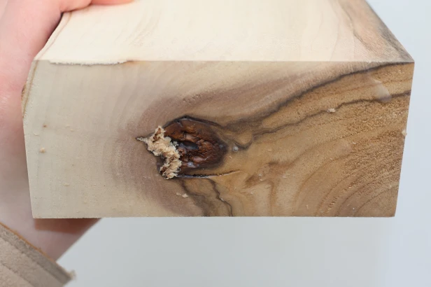 Orzech włoski Walnut drewno do toczenia kantówka wood for turning Timber