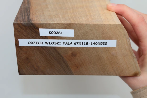 Orzech włoski fala Walnut Flame drewno do toczenia kantówka wood for turning Timber