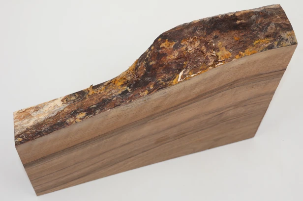 Orzech włoski fala Walnut Flame drewno do toczenia kantówka wood for turning Timber