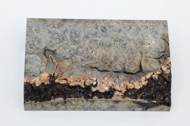 Klon jesionolistny czeczot grafit Ash-leaf Maple Burl Graphite stabilizowane drewno na biżuterię stabilized wood for jewelry