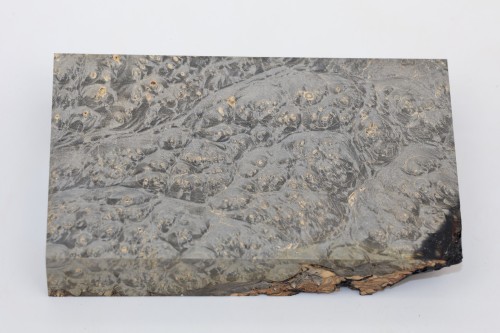 Klon jesionolistny czeczot grafit Ash-leaf Maple Burl Graphite stabilizowane drewno na biżuterię stabilized wood for jewelry