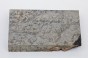 Klon jesionolistny czeczot grafit Ash-leaf Maple Burl Graphite stabilizowane drewno na biżuterię stabilized wood for jewelry