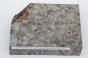 Klon jesionolistny czeczot grafit Ash-leaf Maple Burl Graphite stabilizowane drewno na biżuterię stabilized wood for jewelry