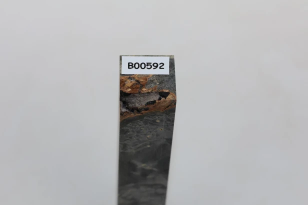Klon jesionolistny czeczot grafit Ash-leaf Maple Burl Graphite stabilizowane drewno na biżuterię stabilized wood for jewelry