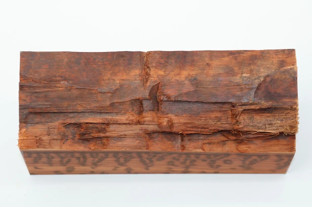 Drewno wężowe Snakewood