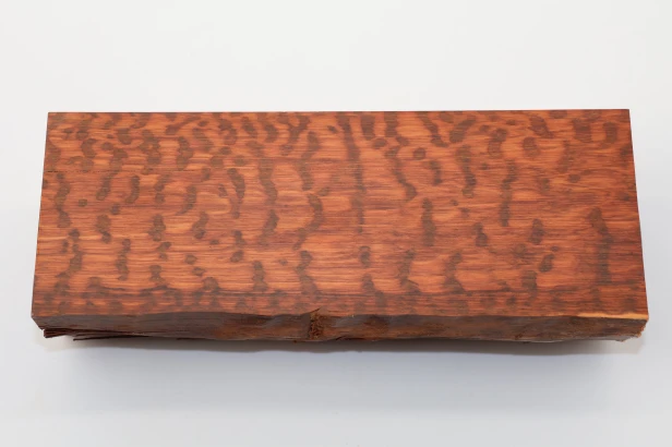 Drewno wężowe Snakewood
