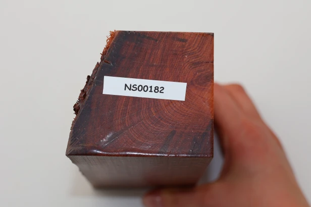 Drewno wężowe Snakewood
