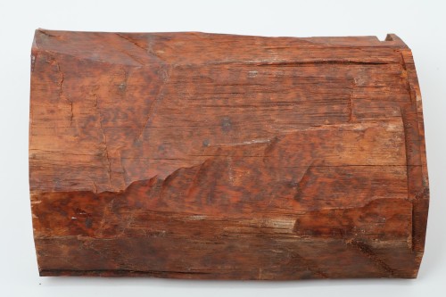 Drewno wężowe Snakewood