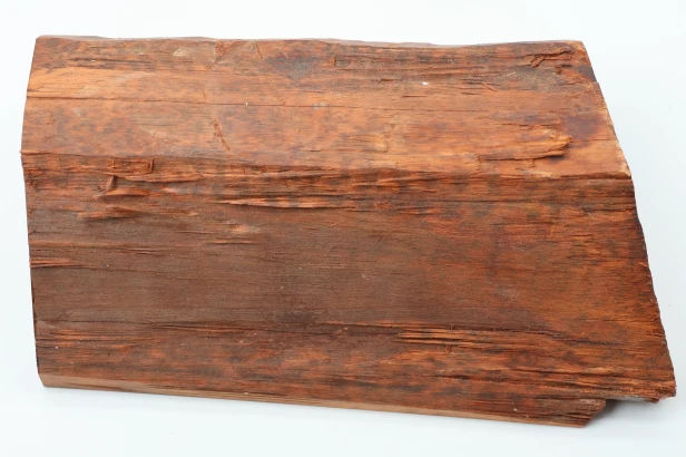 Drewno wężowe Snakewood