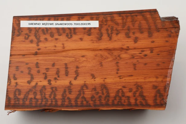 Drewno wężowe Snakewood