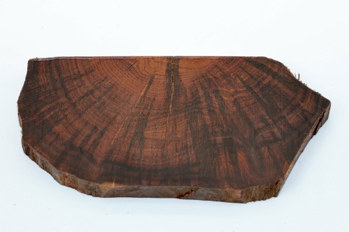 Drewno wężowe Snakewood X-CUT drewno na biżuterię wood for jewelry