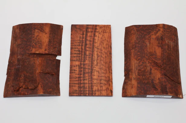 Drewno wężowe Snakewood drewno na biżuterię wood for jewelry