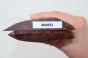 Drewno wężowe Snakewood drewno na biżuterię wood for jewelry
