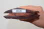 Drewno wężowe Snakewood drewno na biżuterię wood for jewelry