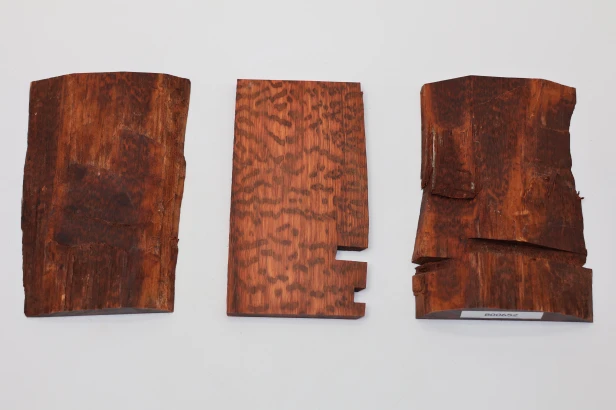 Drewno wężowe Snakewood drewno na biżuterię wood for jewelry