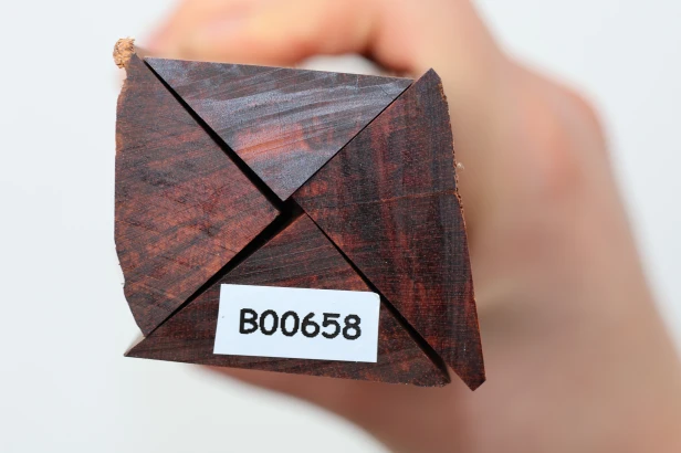 Drewno wężowe Snakewood drewno na biżuterię wood for jewelry