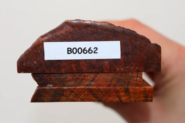 Drewno wężowe Snakewood drewno na biżuterię wood for jewelry