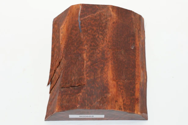 Drewno wężowe Snakewood drewno na biżuterię wood for jewelry