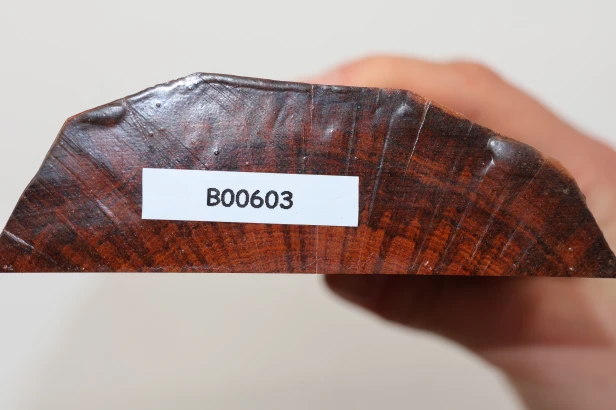 Drewno wężowe Snakewood drewno na biżuterię wood for jewelry