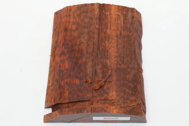 Drewno wężowe Snakewood drewno na biżuterię wood for jewelry