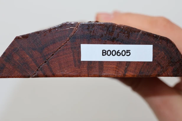 Drewno wężowe Snakewood drewno na biżuterię wood for jewelry