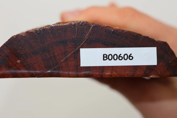 Drewno wężowe Snakewood drewno na biżuterię wood for jewelry