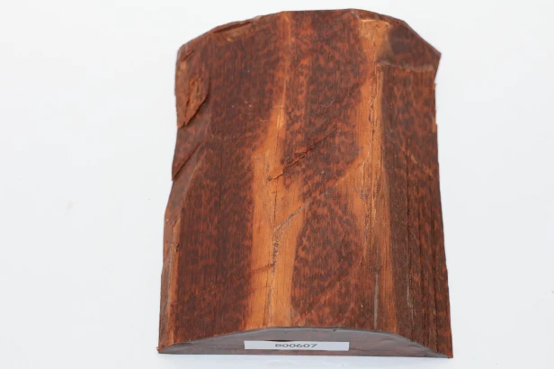 Drewno wężowe Snakewood drewno na biżuterię wood for jewelry